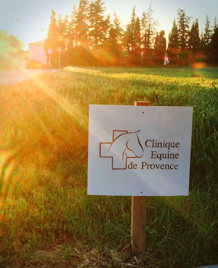 La Clinique equine de Provence dans le sud